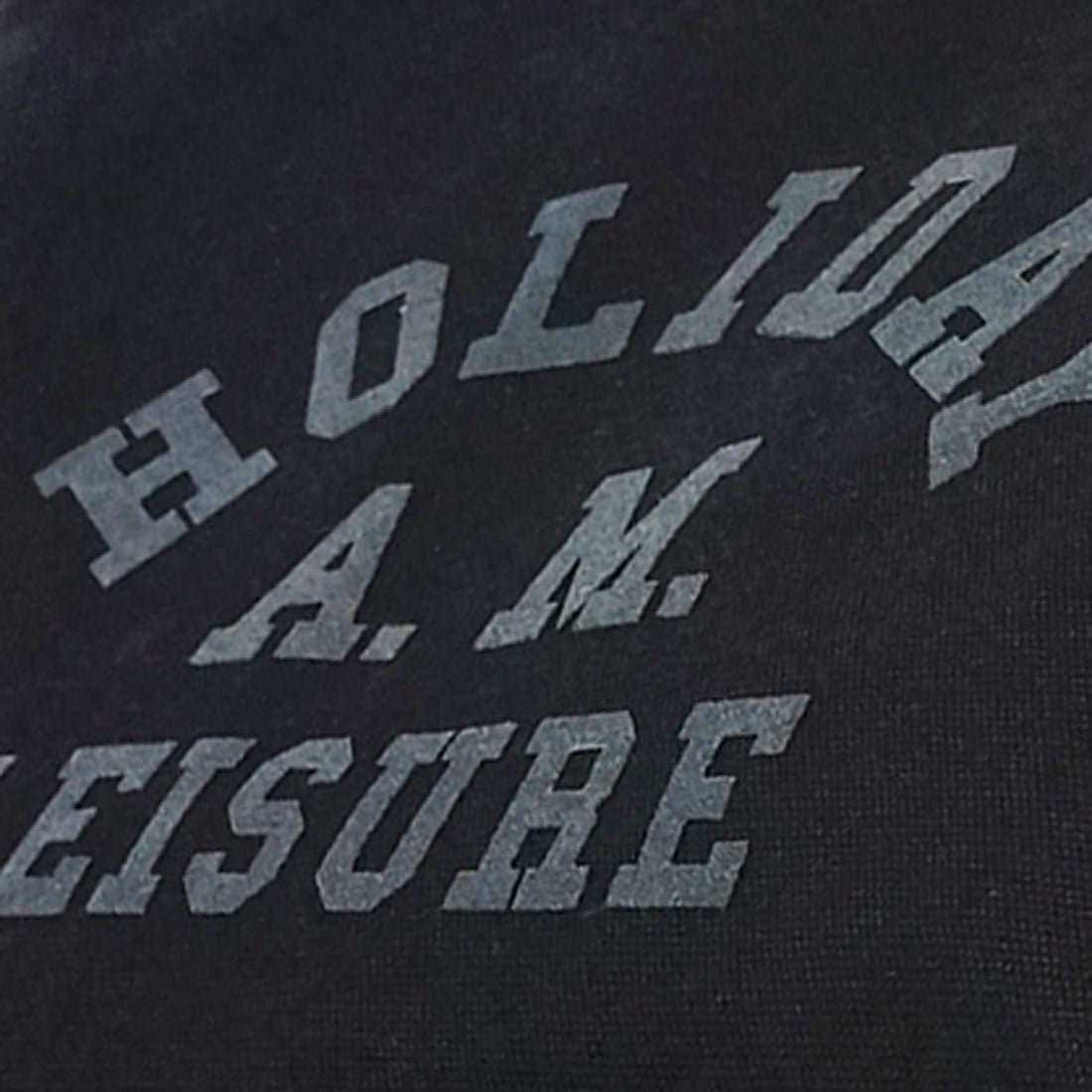 バッグ ショルダーバッグ 2WAY レディース メンズ フロッキープリント キャンバス 帆布 Holiday A.M.
